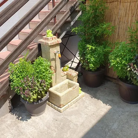 Djokic 2 Apartment *